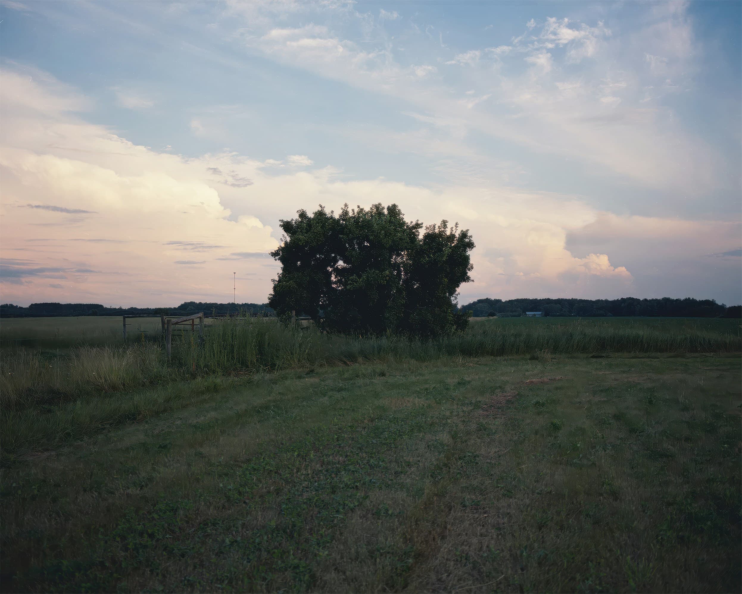 Photograph by Ethan Larsen