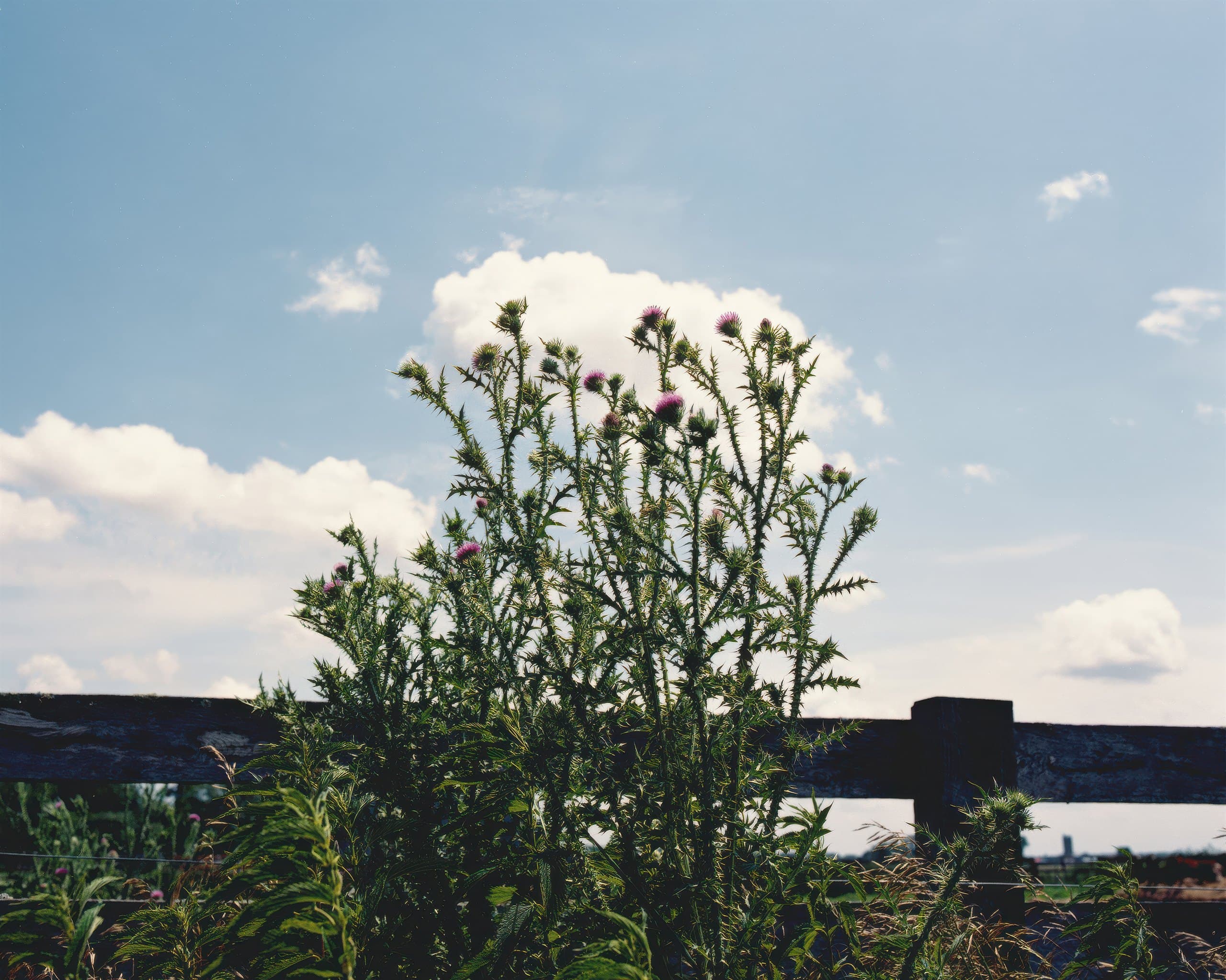 Photograph by Ethan Larsen