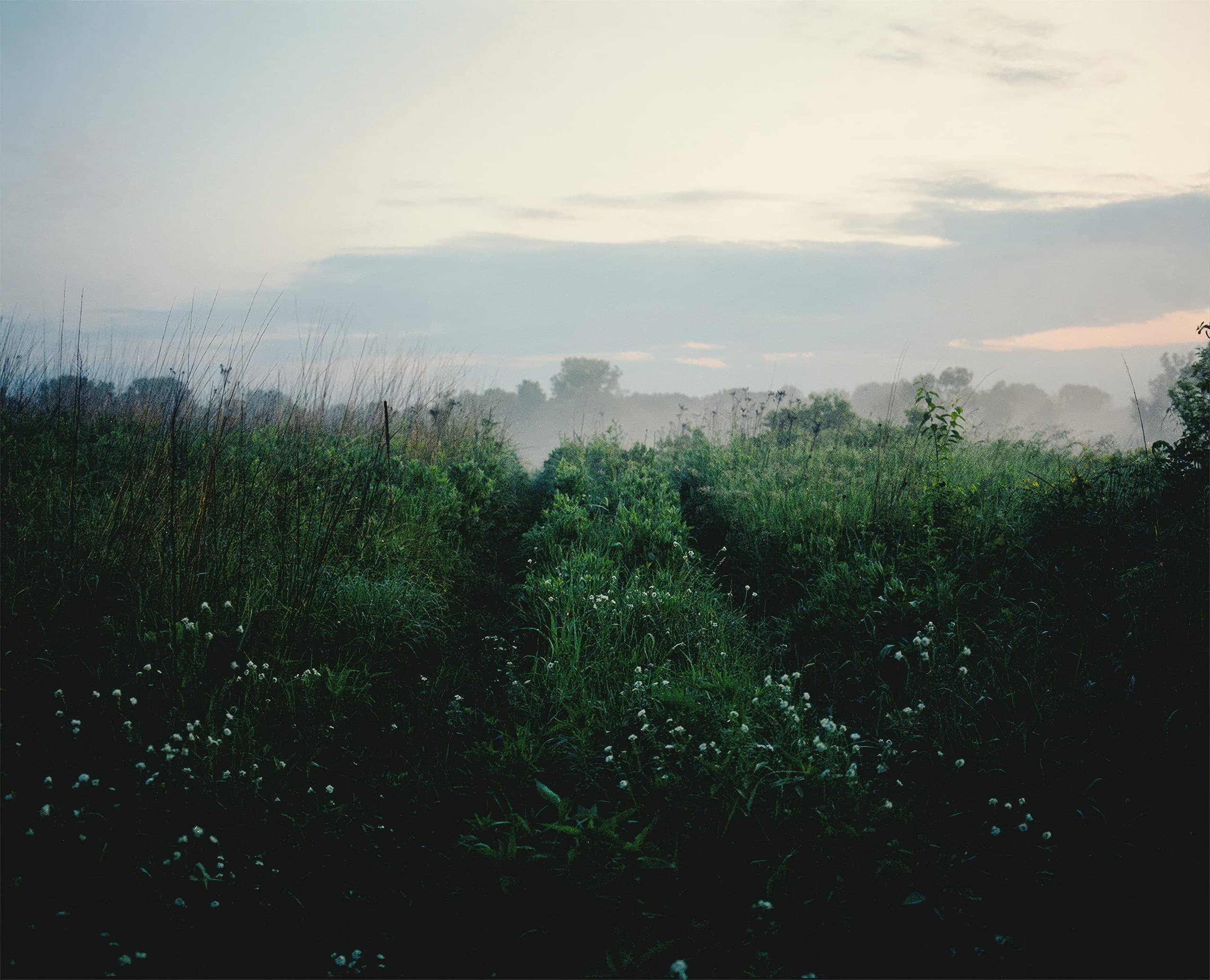 Photograph by Ethan Larsen