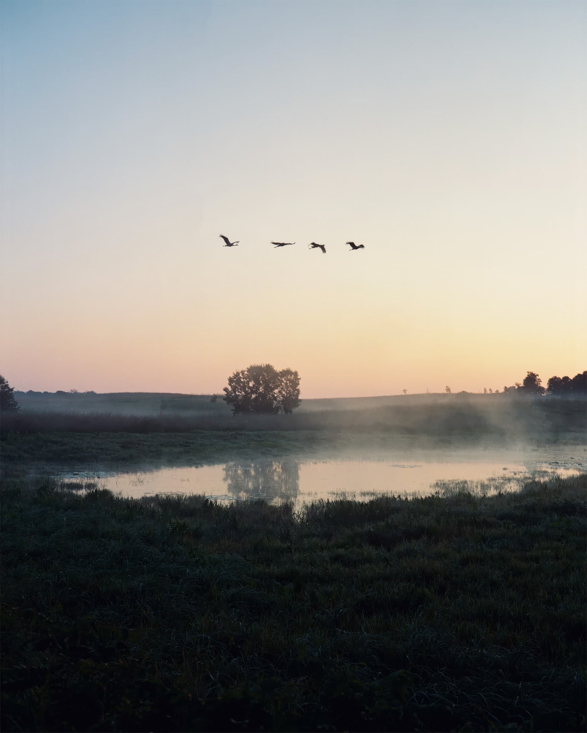 Photograph by Ethan Larsen