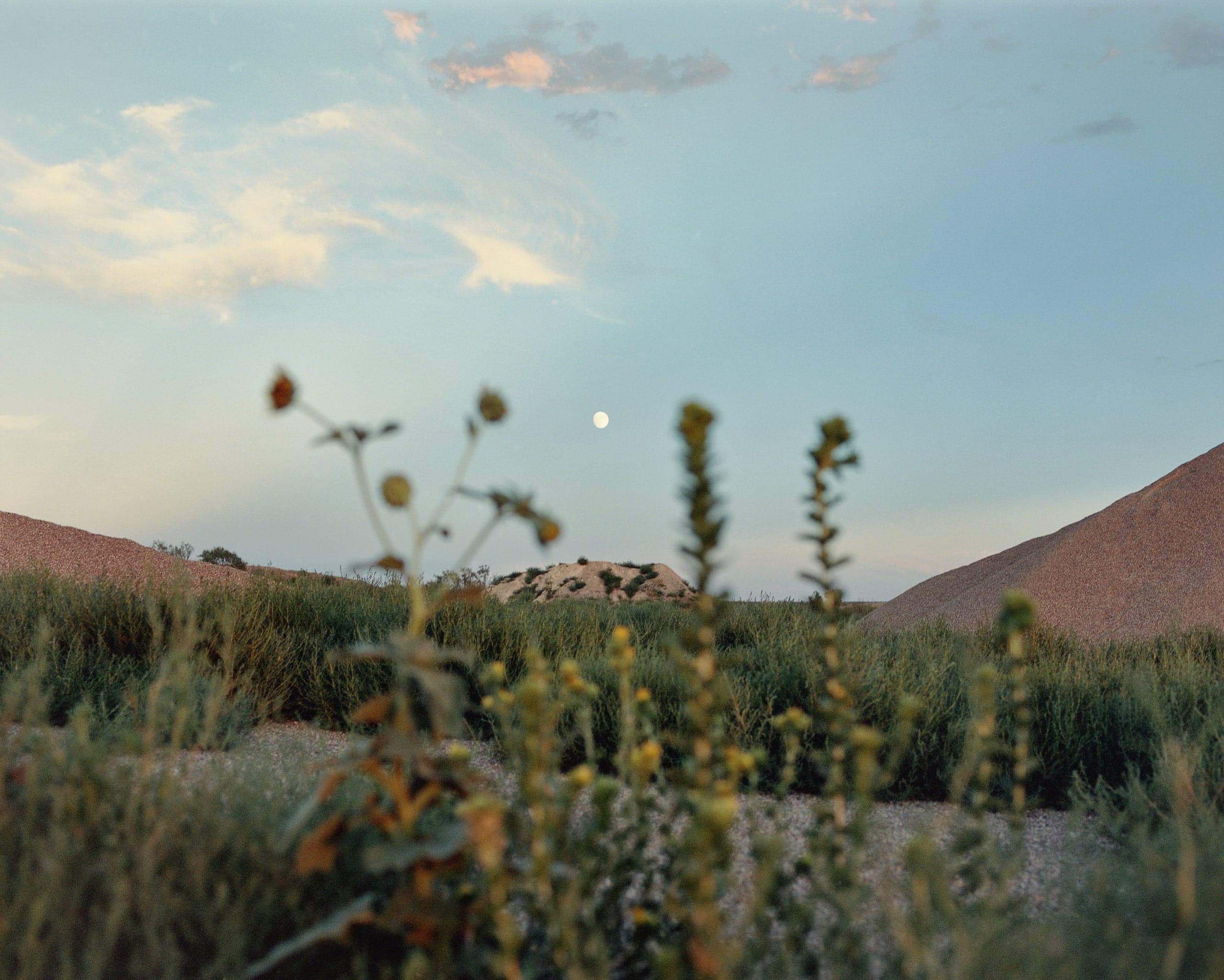Photograph by Ethan Larsen