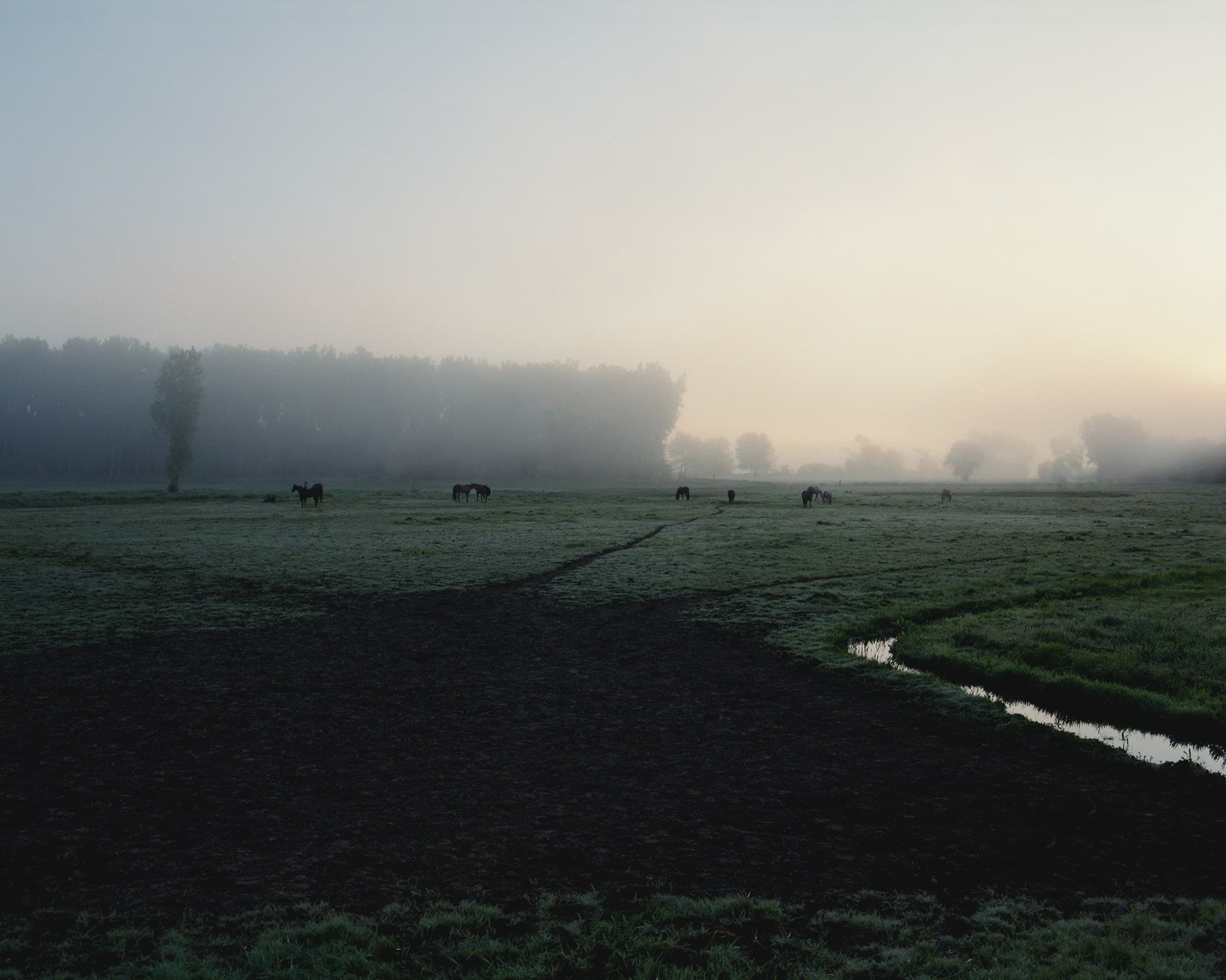 Photograph by Ethan Larsen