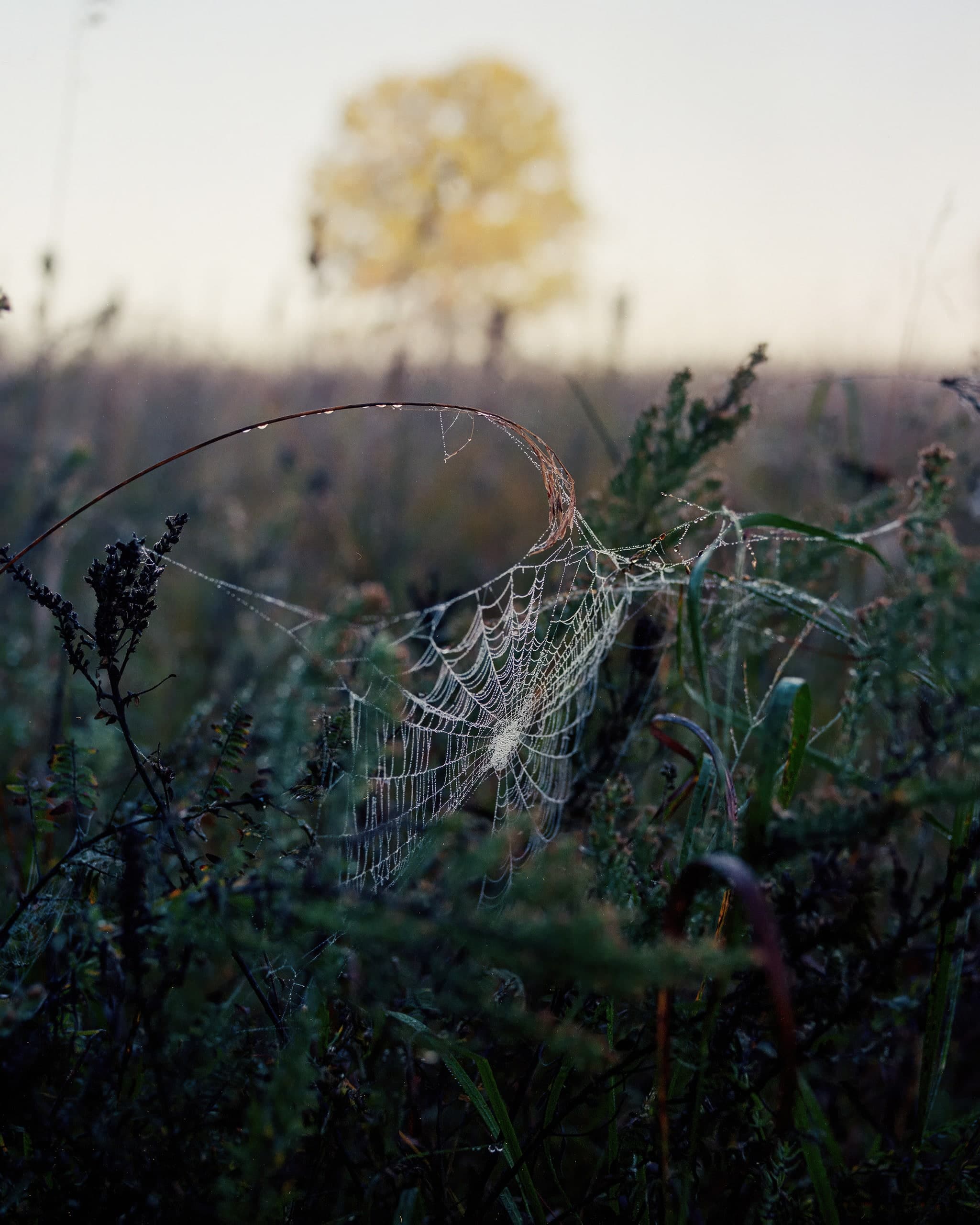 Photograph by Ethan Larsen