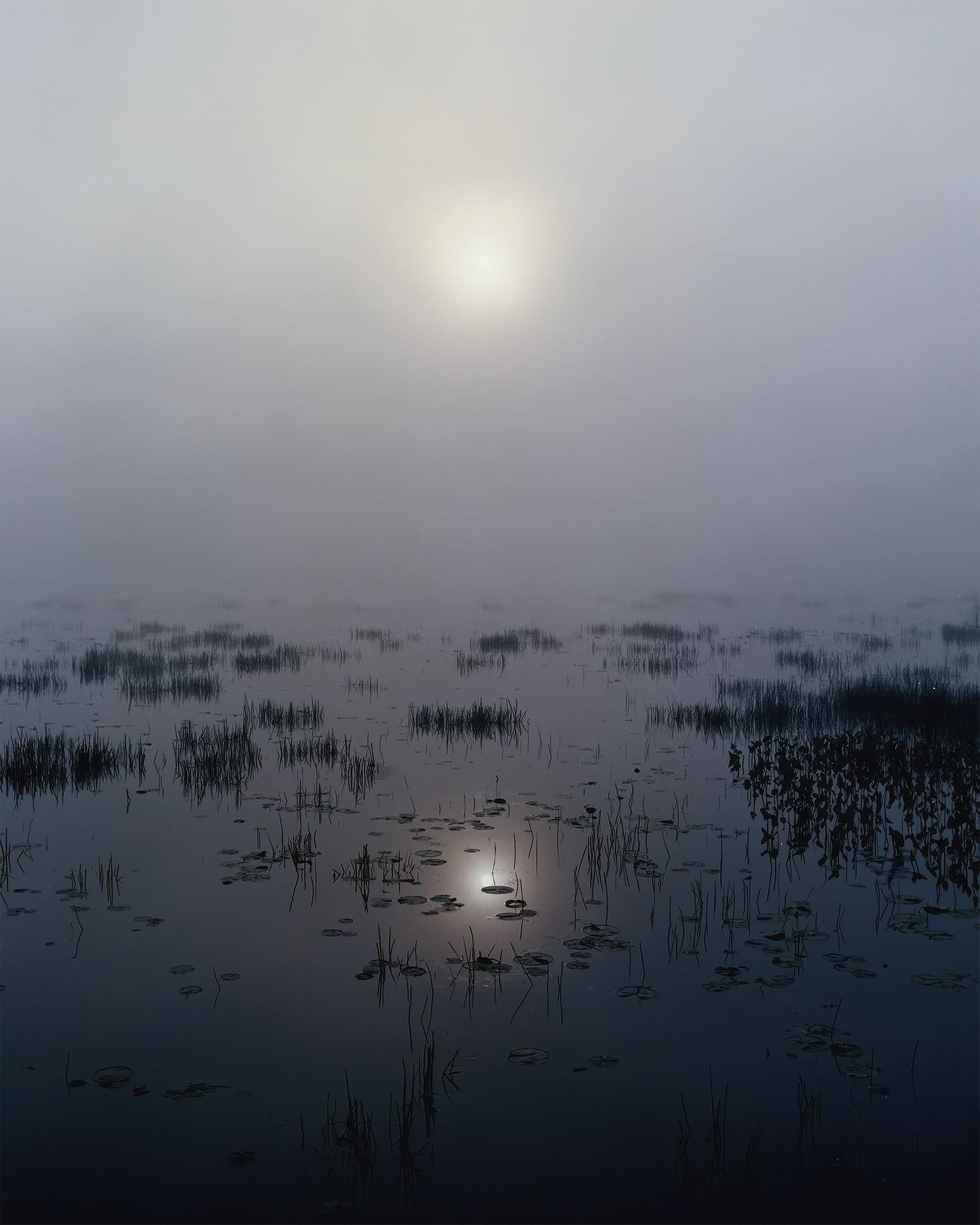 Photograph by Ethan Larsen