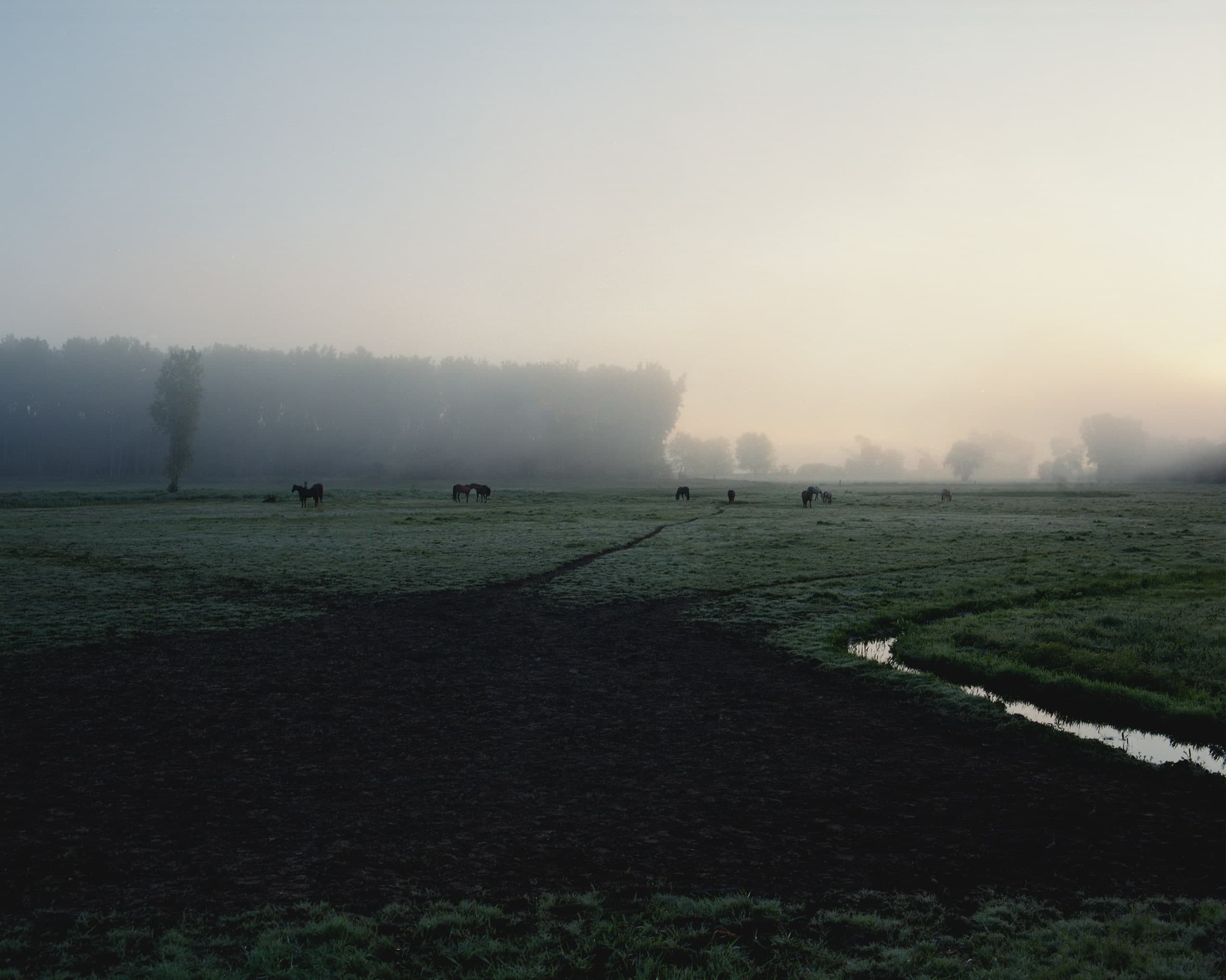 Photograph by Ethan Larsen