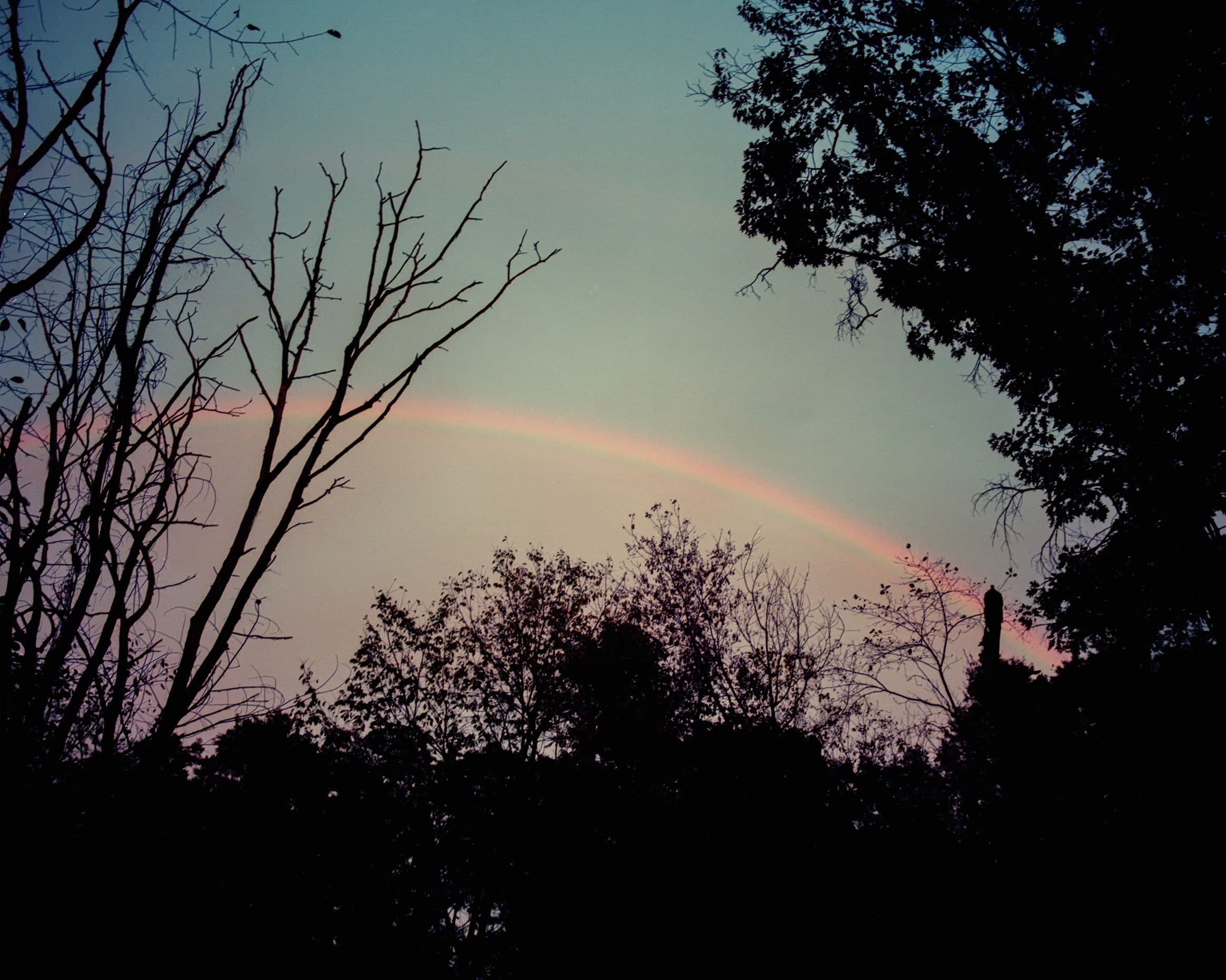 Photograph by Ethan Larsen