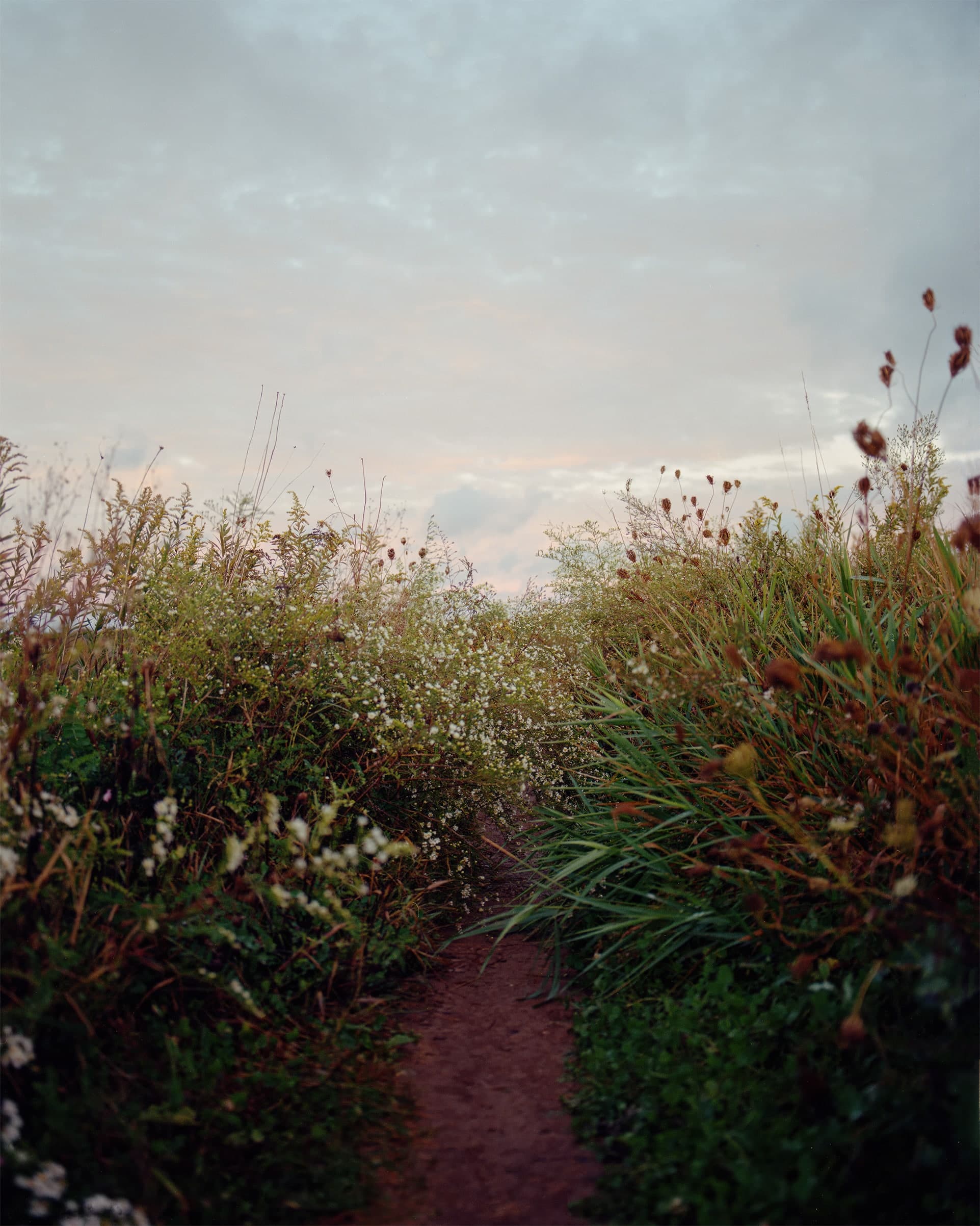 Photograph by Ethan Larsen